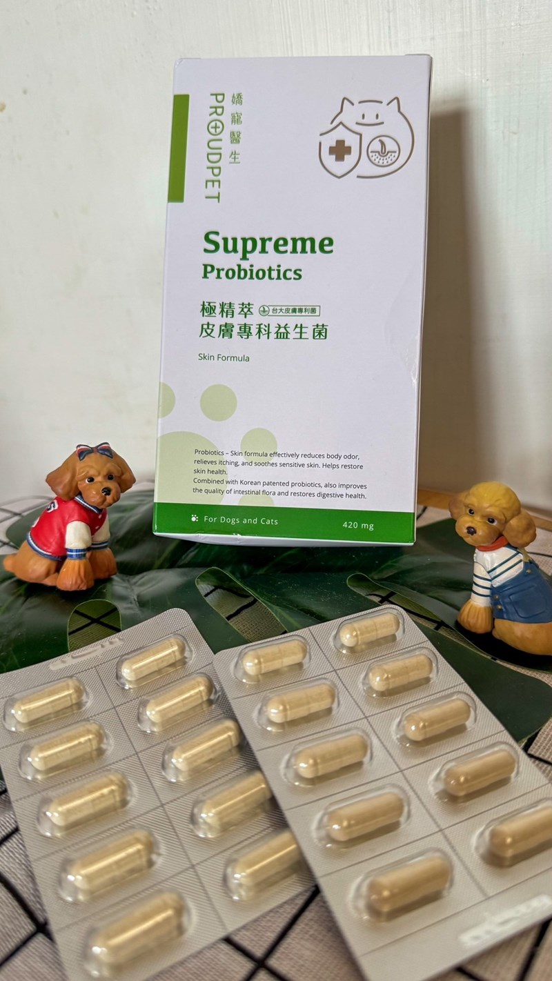 試用